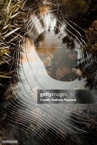 a frozen pond on mount wellington, hobart, tasmania, australia. - hobart tasmania stock pictures, royalty-free photos & images