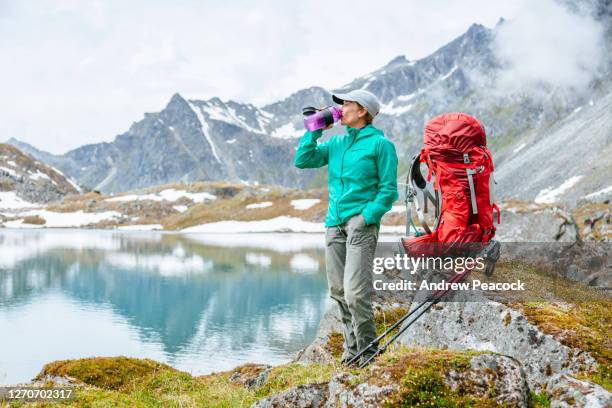 female hiker stops by a lake for a drink of water in the talkeetna range in alaska, usa - lid stock pictures, royalty-free photos & images