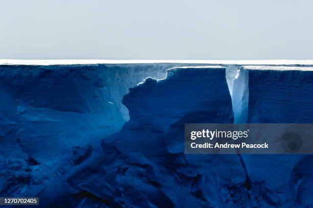 snow petrel soaring near ice cliff - crevasse stock pictures, royalty-free photos & images