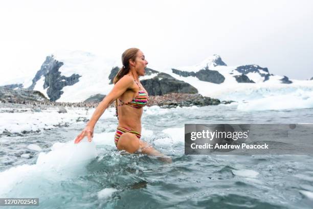 woman in bikini in sea, cuverville island, antarctic peninsula - polar climate stockfoto's en -beelden