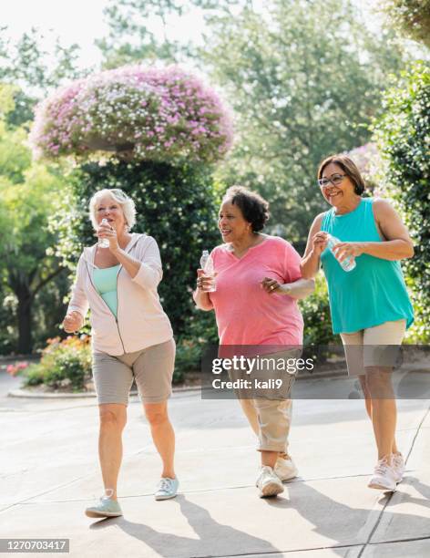 一緒に公園を歩く多�民族の先輩女性 - african american couple walking park ストックフォトと画像