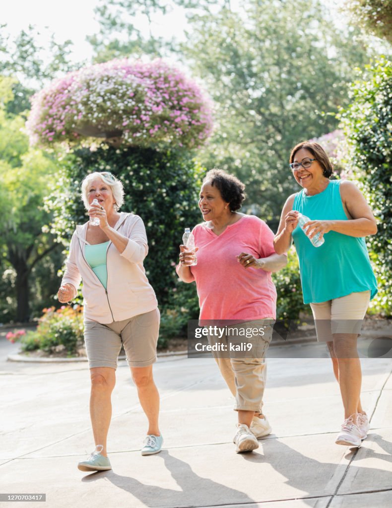 Multi-ethnic senior women walking in the park together