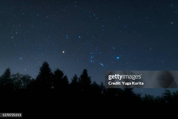 orion and stars rising over a dark forest - orionnebel stock-fotos und bilder