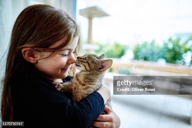 cute girl holding kitten at the window - responsibility stock-fotos und bilder