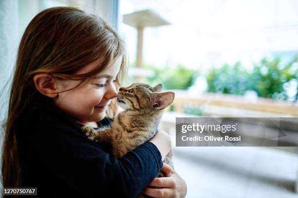 cute girl holding kitten at the window - linda oliver fotografías e imágenes de stock