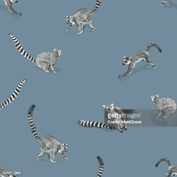 ring-tailed lemur nahtlose wiederholung muster offen - lemur stock-grafiken, -clipart, -cartoons und -symbole