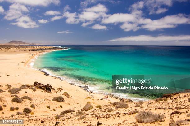 playa de las conchas in la graciosa, canary islands, spain. - ランザローテ ストックフォトと画像