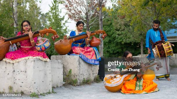 performance of veena music by lake ontario in toronto, canada - veena stock pictures, royalty-free photos & images