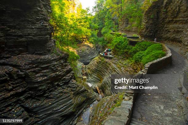 summer hiking in watkins glen gorge - finger lakes fotografías e imágenes de stock