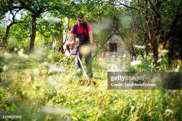 man mowing the grass - grass cut out stock pictures, royalty-free photos & images