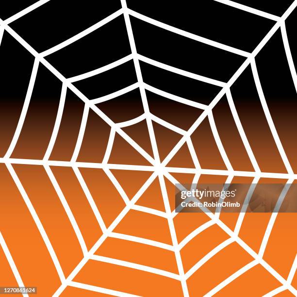 square halloween spiderweb icon - arachnophobia stock illustrations