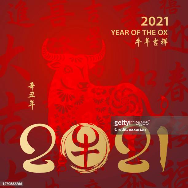 year of the ox 2021 calligraphy - year of the ox stock illustrations