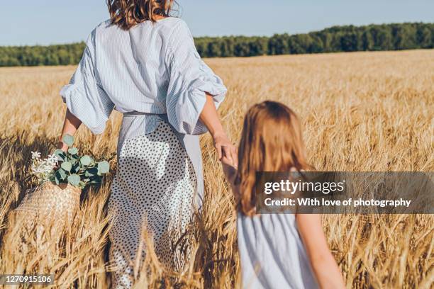 little daughter and mother enjoying summer in rye field, august village lifestyle sunny day - cotton field stock pictures, royalty-free photos & images