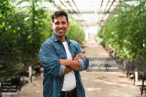 empreendedor de estufa com os braços cruzados - retratos - produtor - fotografias e filmes do acervo