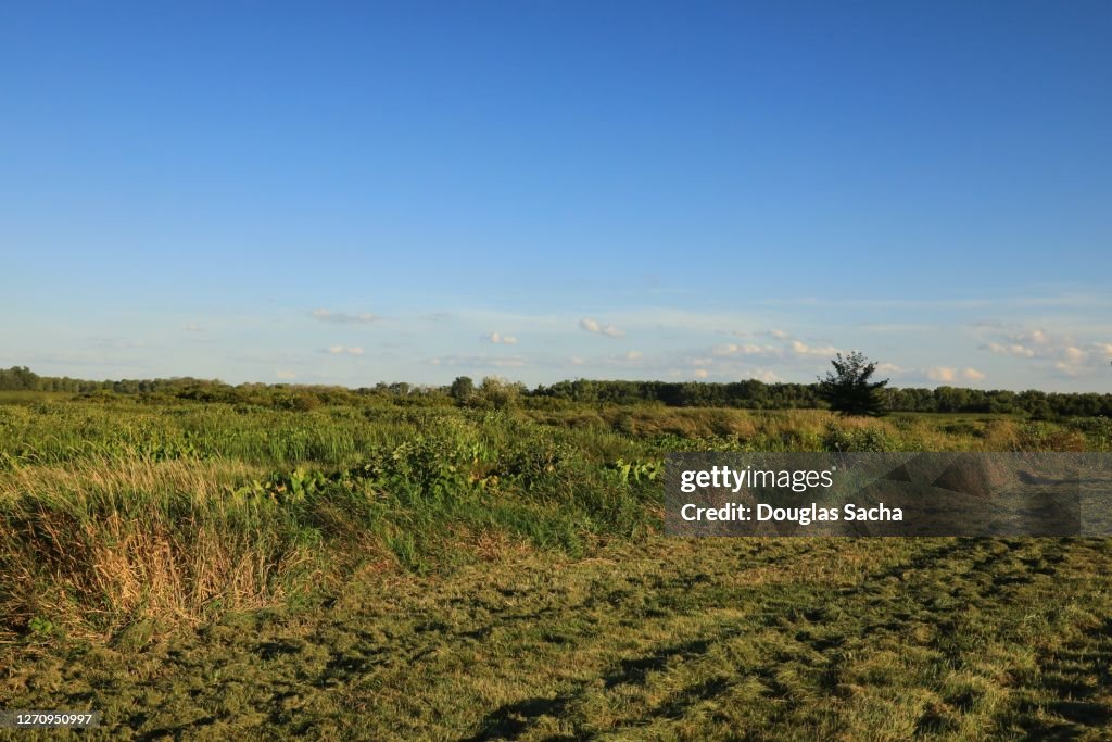 Scenic meadow landscape at the Ottawa National Wildlife Refuge