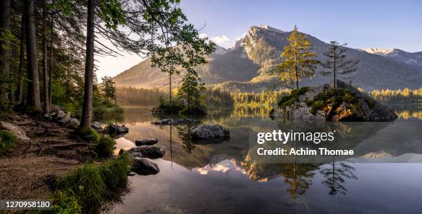 hintersee, berchtesgadener land, bavaria, germany, europe - idyllic lake foto e immagini stock