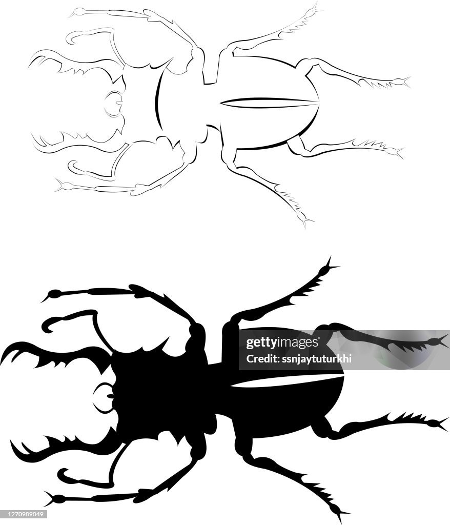 Stag Beetle,