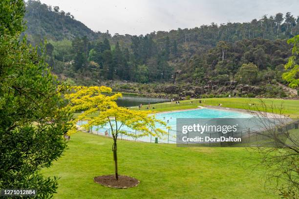 gola della cataratta a launceston, tasmania, australia - launceston foto e immagini stock