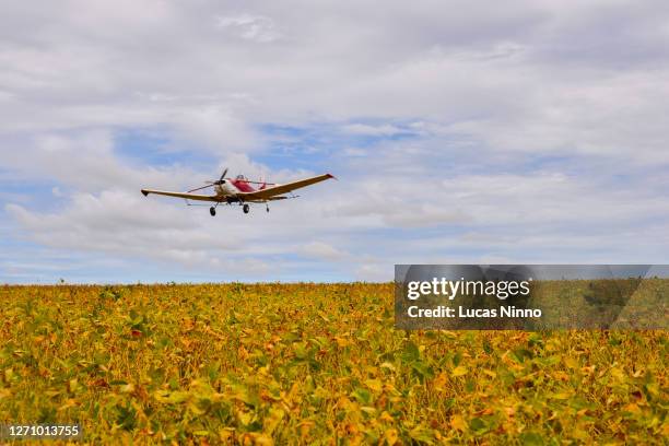 airplane spraying soybean crop - insecticide stock-fotos und bilder