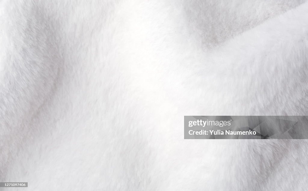 White faux fur texture as background.