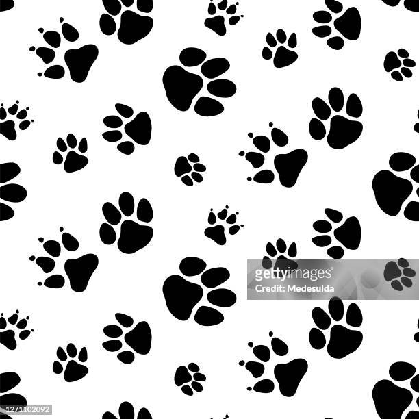 134 Black And White Dog Wallpaper Photos and Premium High Res Pictures -  Getty Images