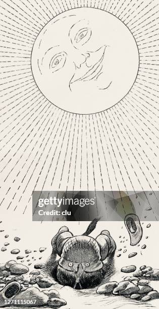 der maulwurf, wenn die sonne aufgeht - maulwurf stock-grafiken, -clipart, -cartoons und -symbole