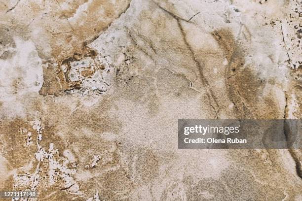 Patchy Texture Consistent 67 Patchy Texture Stock Photos, High-Res Pictures, and Images - Getty ...