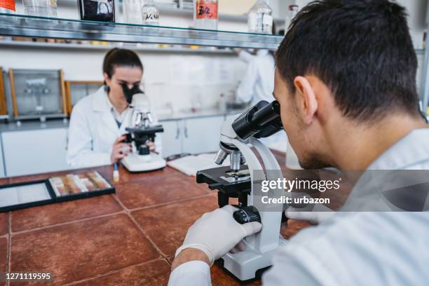 Medical Lab Report Photos and Premium High Res Pictures - Getty Images