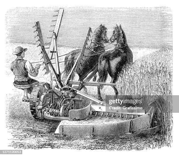 farmer mowing wheat field with antique machine and horse - horse ploughing field stock illustrations