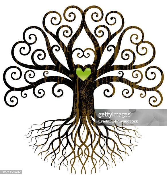 big curly tree illustration - curly vector stock illustrations