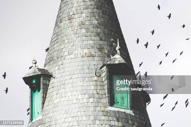 flock of crows flying around a tower, alcázar of segovia - alcázar stock-fotos und bilder