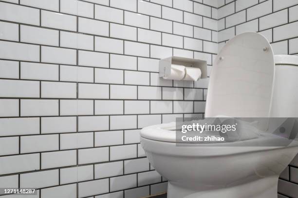 a toilet bowl decorated with white tiles. - toilet bowl bathroom stock pictures, royalty-free photos & images