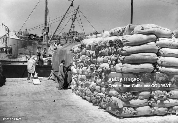 Dockers immigrés déchargeant une cargaison de sacs de phosphate dans le port de Marseille, circa 1950, dans les Bouches-du-Rhône, France.