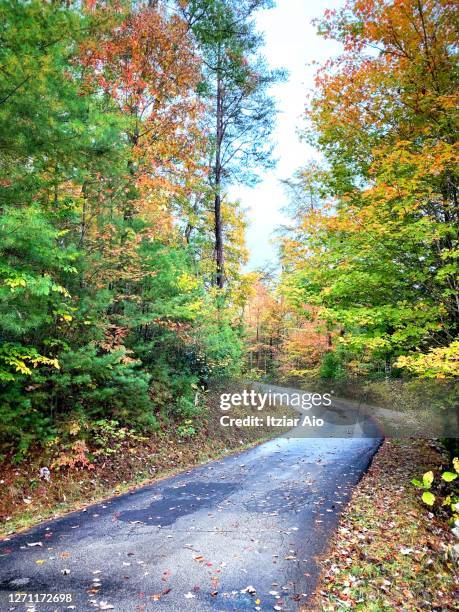 autumn road in the red river gorge national forest - rural kentucky stock pictures, royalty-free photos & images