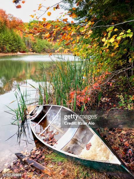 abandoned boat in lake - kentucky landscape stock pictures, royalty-free photos & images