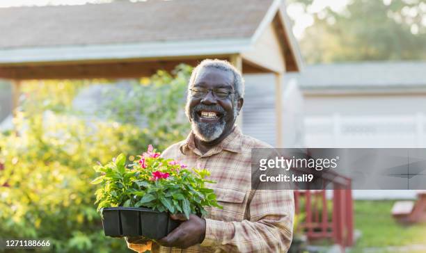 senior african-american man gardening - black man plaid shirt stock pictures, royalty-free photos & images