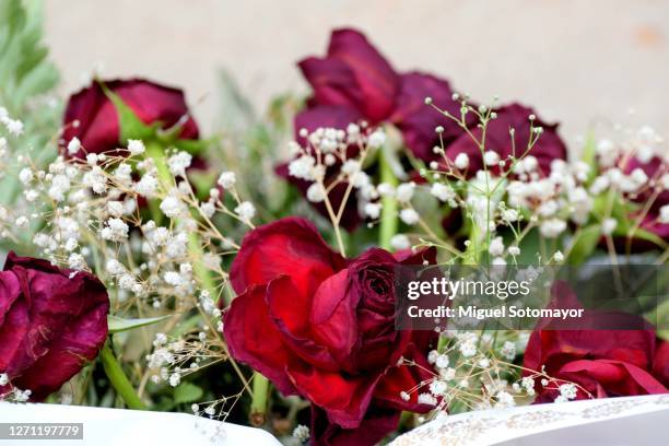 bouquet of red roses on the grave - funeral flowers stockfoto's en -beelden