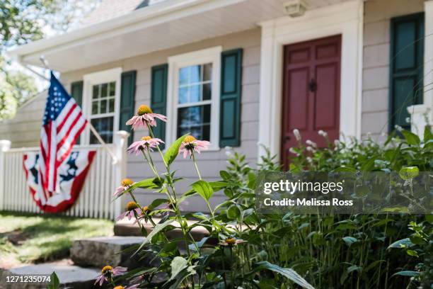 close up of cone flowers in front of a home - building community concept stock pictures, royalty-free photos & images