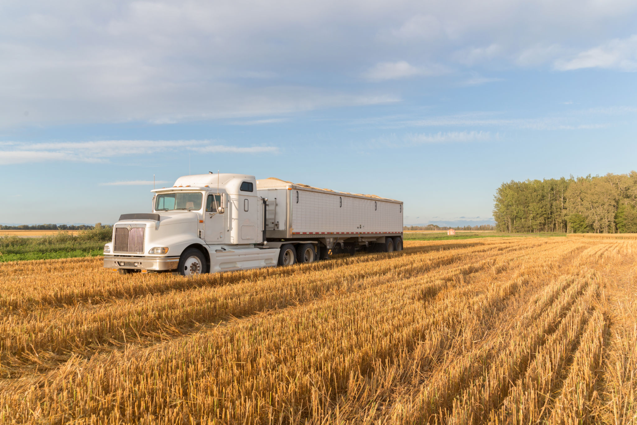 seasonal trucking