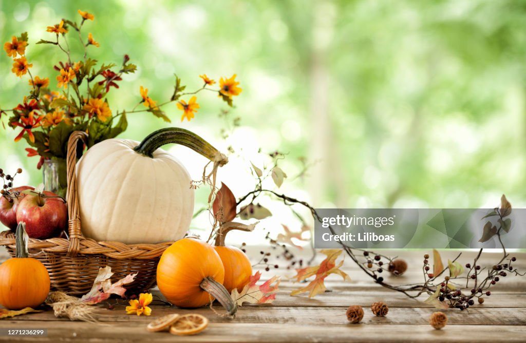 秋のカボチャの背景