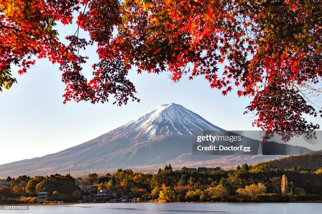 Fuji Mountain and Red Maple Leaves in Autumn at Kawaguchiko lake, Japan