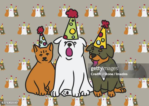 dogs wearing birthday hats - gruppenfoto stock-grafiken, -clipart, -cartoons und -symbole