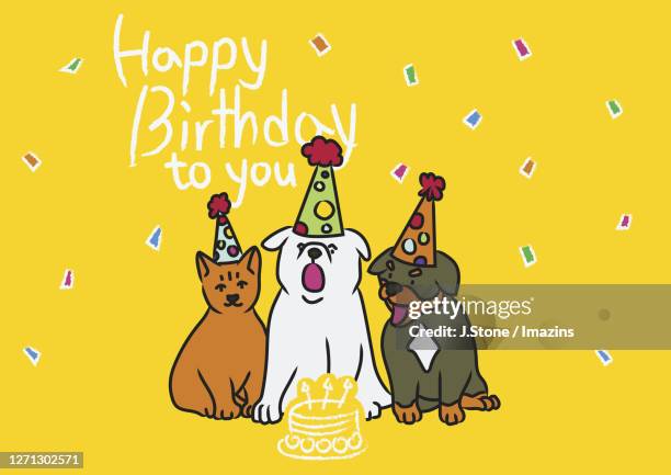 dog and cat happy birthday Images High Quality Grahic Happy Birthday Dog And Cat Photos and Premium High Res Pictures - Getty ...