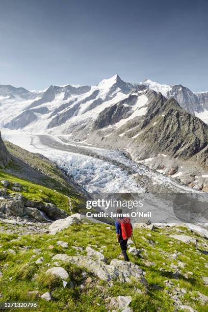 mountaineer looking over alpine landscape - glacier stock-fotos und bilder