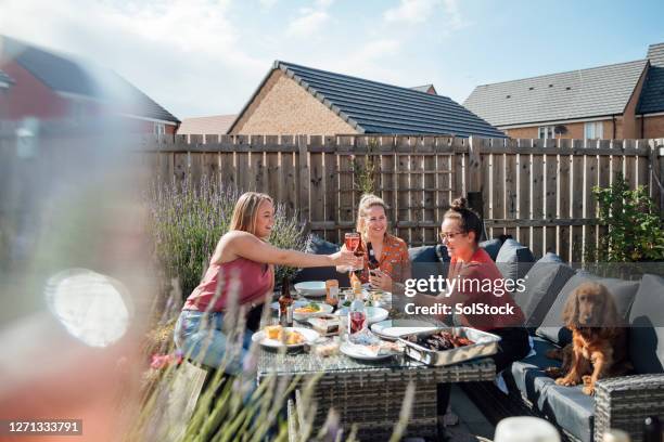 friends celebrating together - garden brunch stock pictures, royalty-free photos & images