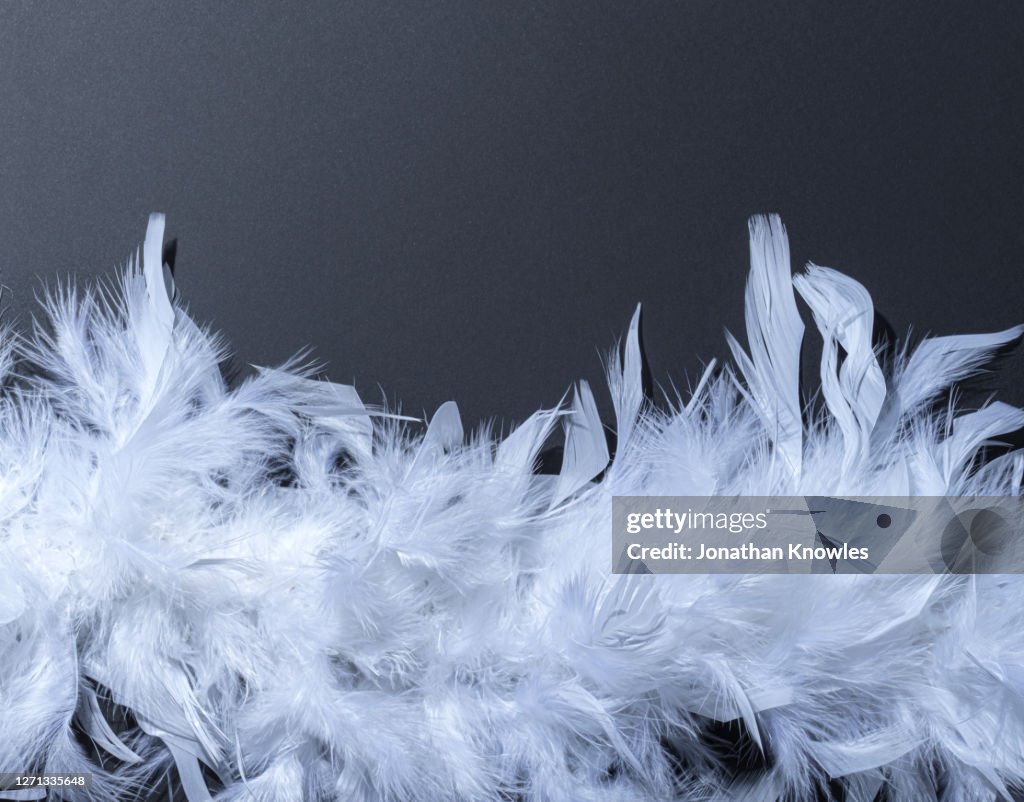 White feathers