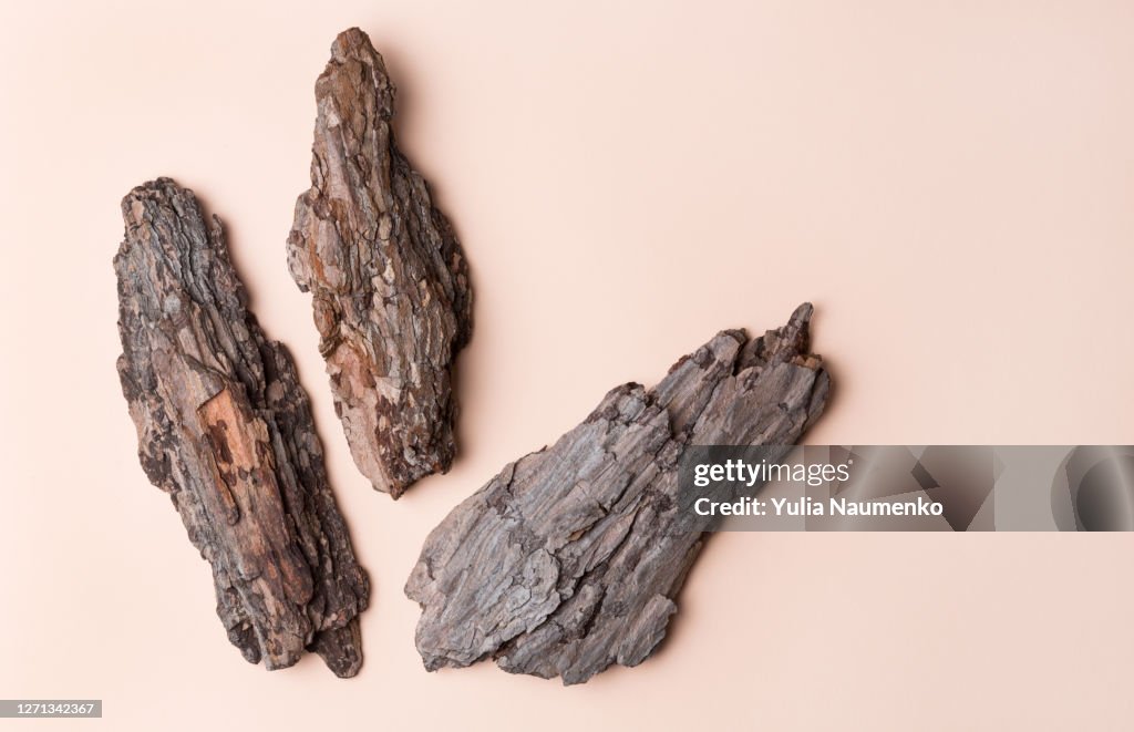 Pine tree bark particles on beige background, top view.
