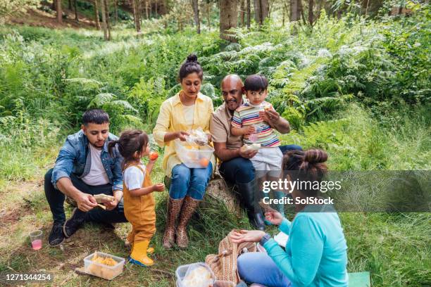 the perfect spot for lunch - sandwich generation stock pictures, royalty-free photos & images