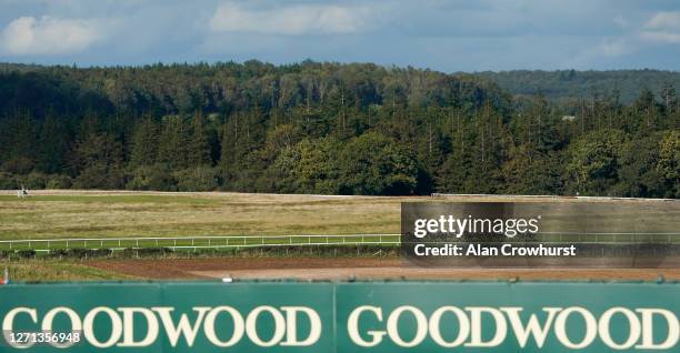 Hollie Doyle riding Stag Horn lead all the way to win The Royal Sussex Regiment Handicap at Goodwood Racecourse on September 08, 2020 in Chichester,...