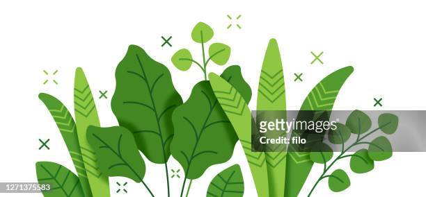 tropische pflanze und laub wachstum moderne hintergrund-lager-illustration - flat design stock-grafiken, -clipart, -cartoons und -symbole